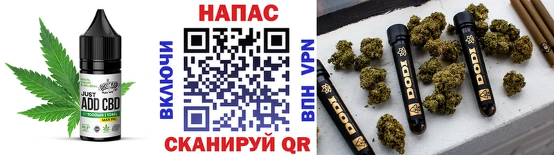 Cannafood конопля  Купить  Кингисепп 